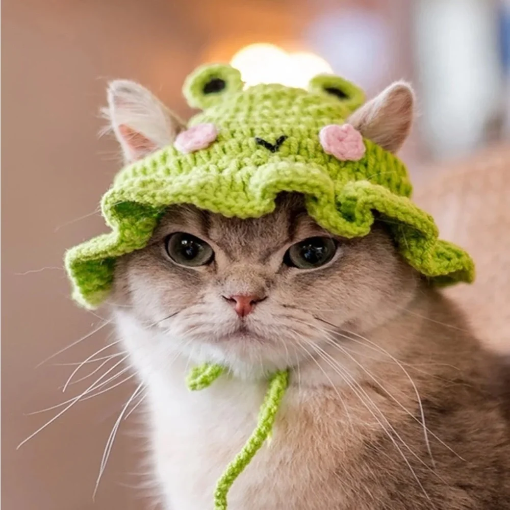 1pc Frog Design Knitted Pet Hat